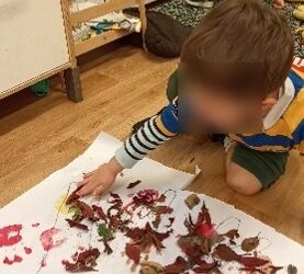 Little Stars Juniors: Our Autumn Week